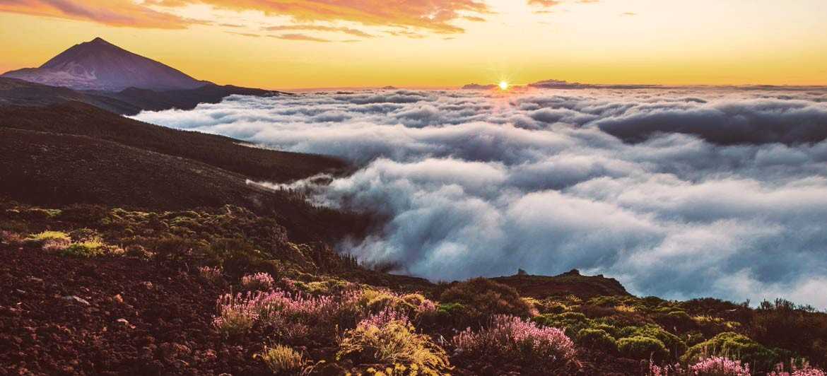 Der Teide Nationalpark: Teide-Gipfel mit Wolkenmeer.