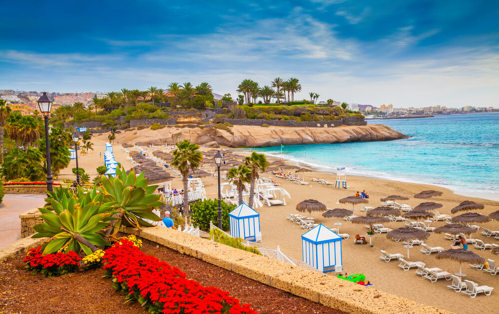 Teneriffa schönste Strände: goldgelber Strand mit Liegen und Palmen.