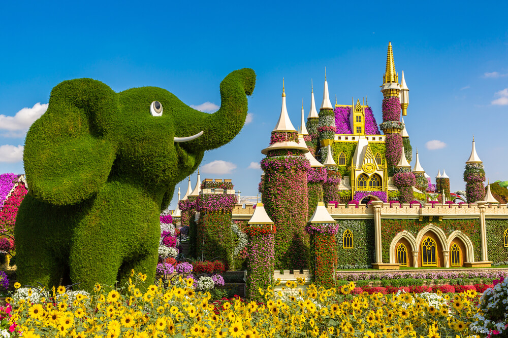 Top Dubai attractions for kids: Dubai Miracle Garden