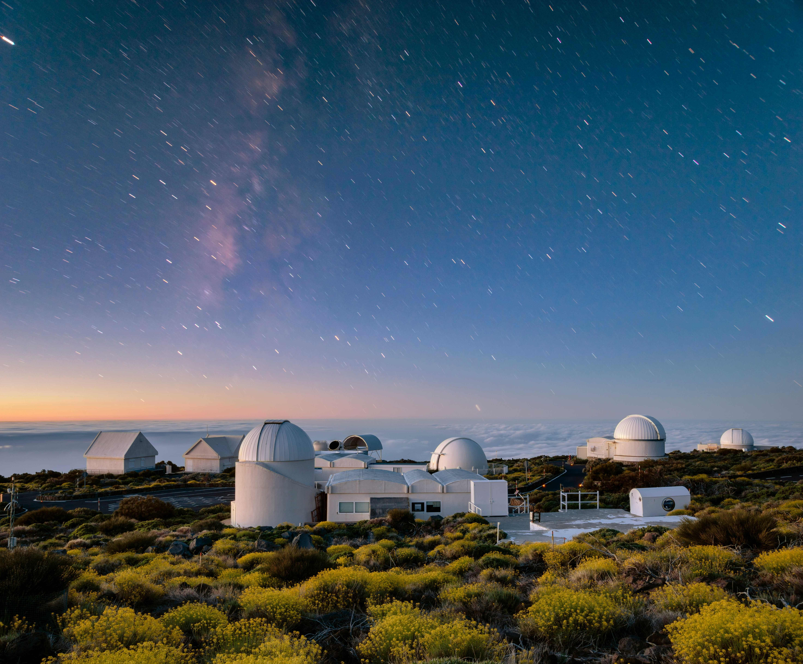 Looking for things to do in the Canary Islands? Look to nature for unmissable day trips