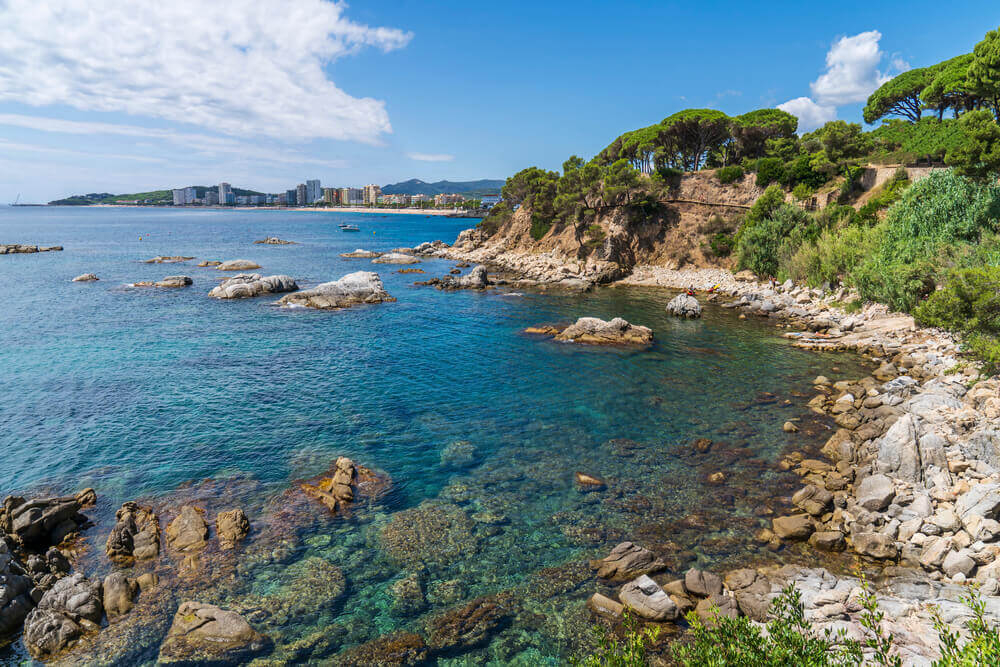 Blue ocean, white cliffs and green vegetation with a town in the distance
