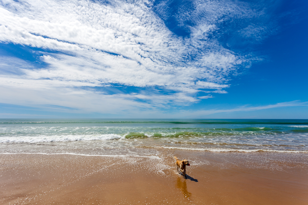 A fantastic beach called beach of Torregorda, Cadiz, Spain