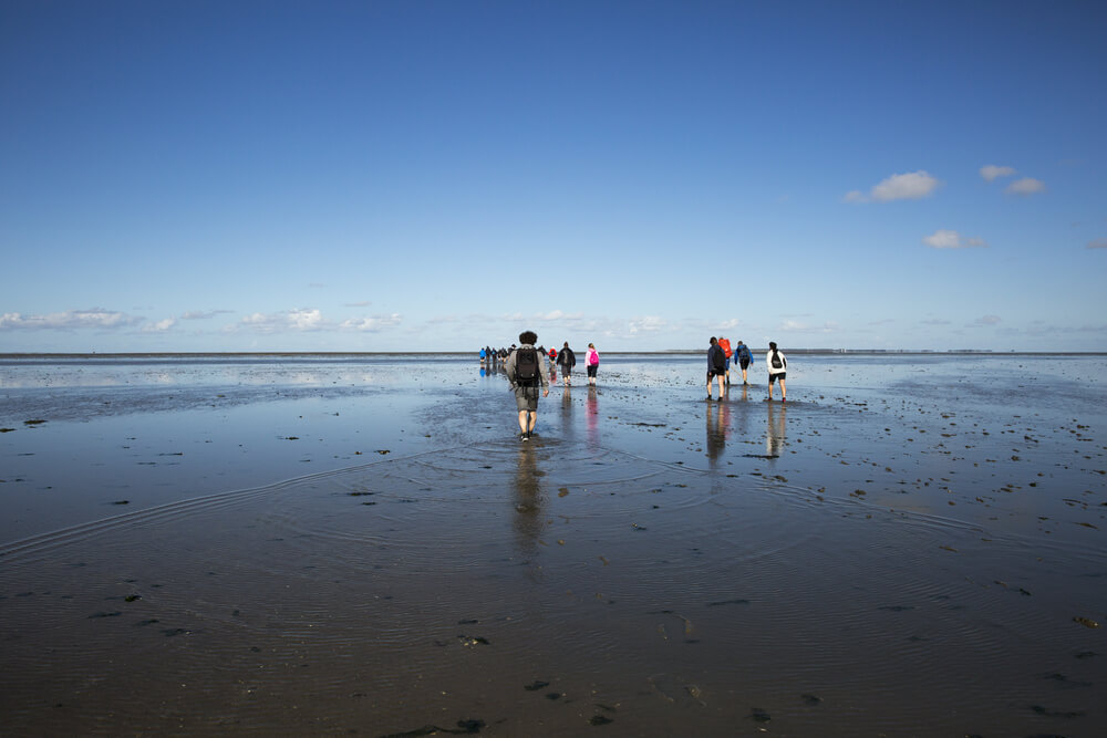 Wattwanderung im Wattenmeer.