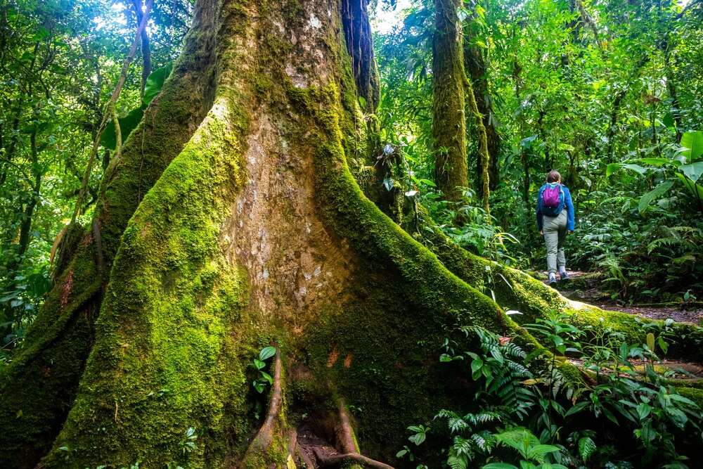 viajar a costa rica sostenibles enderismo