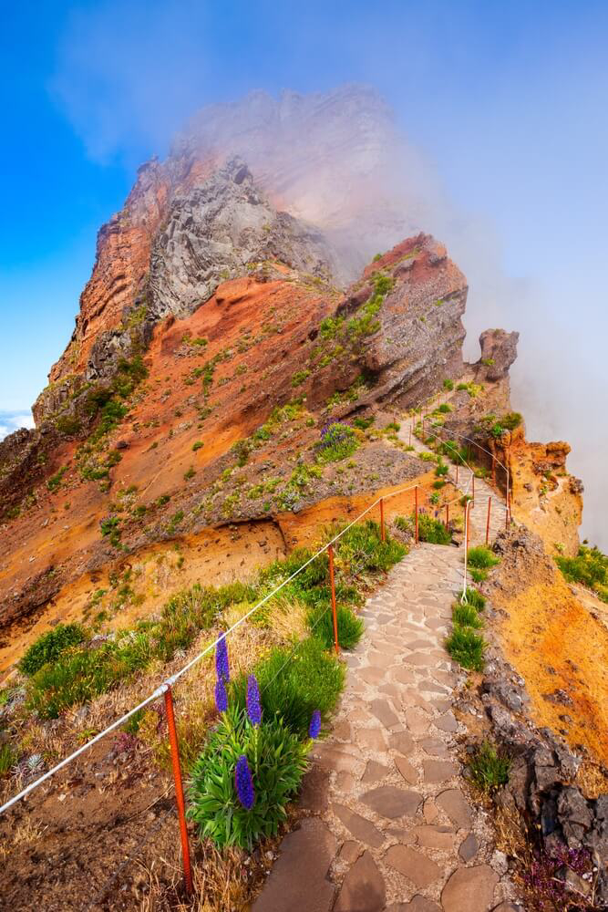 viajar a madeira