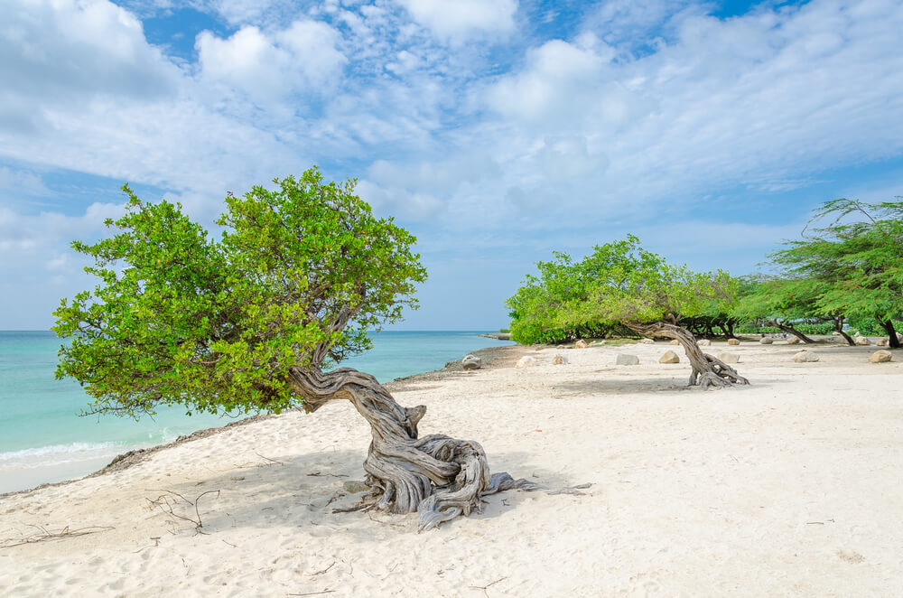 viaje a aruba playas