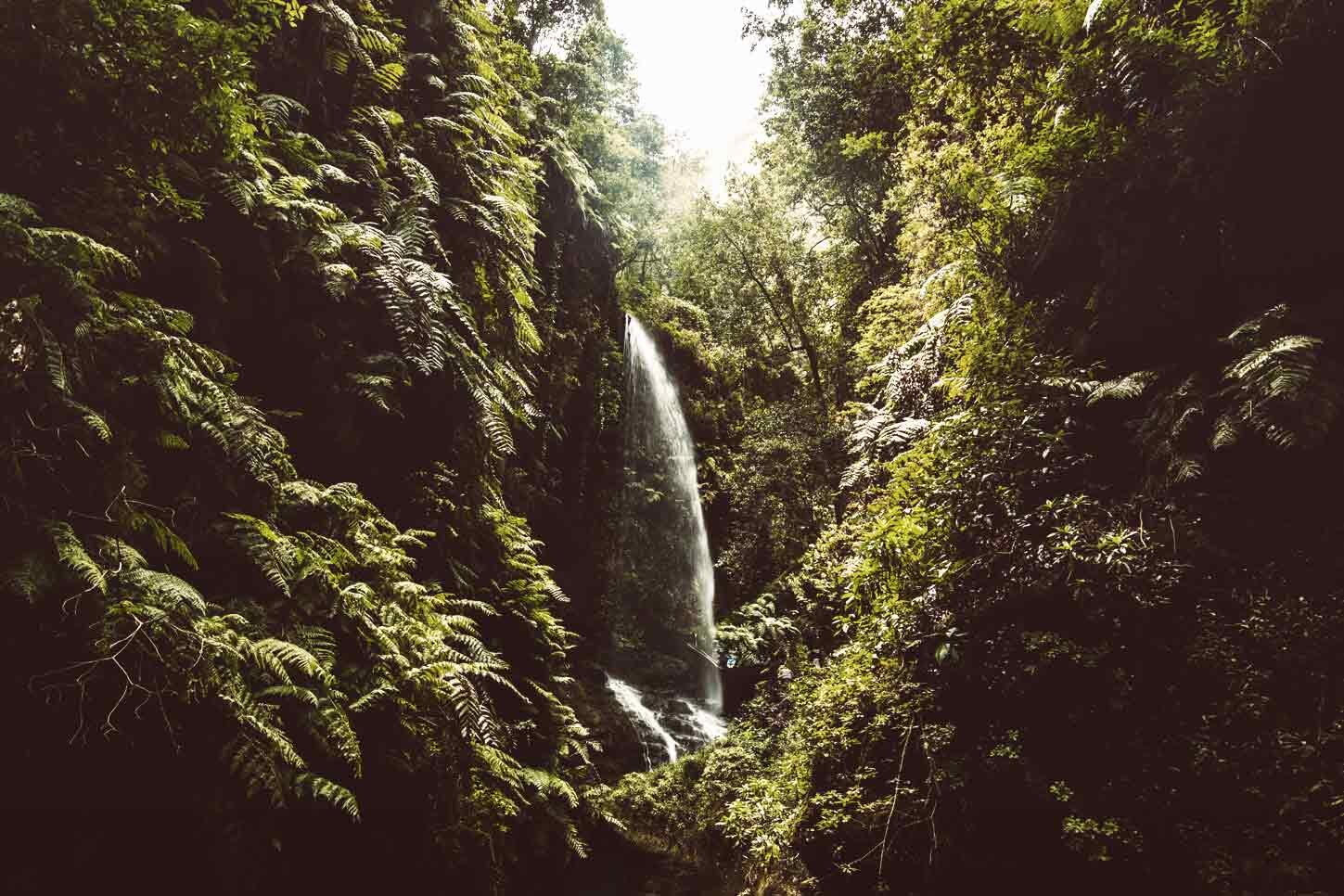 Welche kanarische Insel ist am grünsten? La Palma