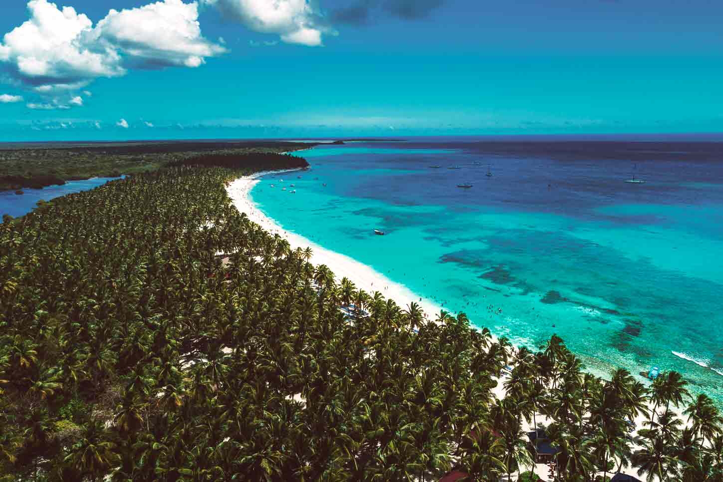 Viaggio ai Caraibi durante la stagione dell'osservazione delle balene