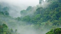 Scenic view of densely green mountains surrounded by fog