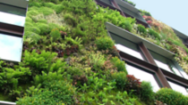 vertical_garden.png