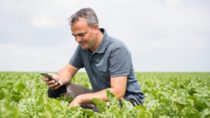 Older man in a grey polo crouched down looking at his phone in a green field 