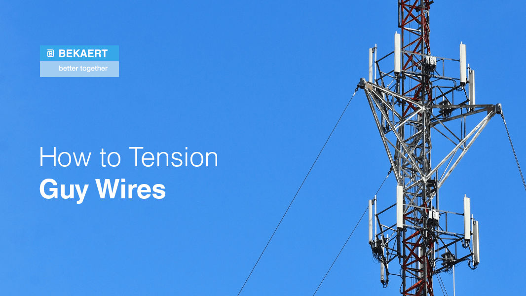 Guy Wires edu.svet.gob.gt