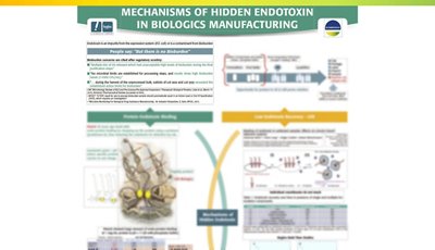 Mechanisms of hidden endotoxin chart