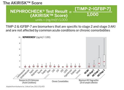 The AKIRISK Score