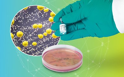 Microbiological Quality Control Micrococcus luteus and Staphylococcus epidermidis