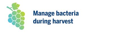 Manage Bacteria During Harvest