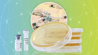 Microbiological Quality Control Bacillus cereus