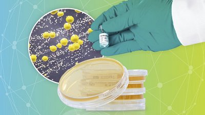 Microbiological Quality Control Micrococcus luteus and Staphylococcus epidermidis