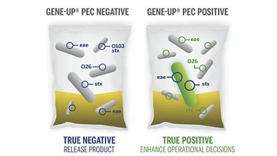 True Negative vs True Positive for PEC
