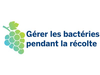 VINOPAL contrôle les bactéries