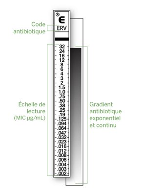 25-etest reading scale_FR