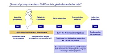 25-vidas_torc_presentation_FR