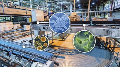 root cause analysis biomerieux food industry