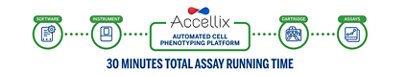 30 Minutes Total Assay Running Time