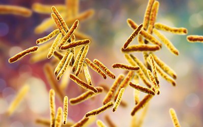 Bacteria Mycobacterium tuberculosis, the causative agent of tuberculosis, 3D illustration
