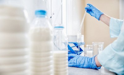 Expert control quality milk in laboratory, dairy factory industry.