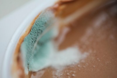 Close up of moldy mold on a cup of yogurt