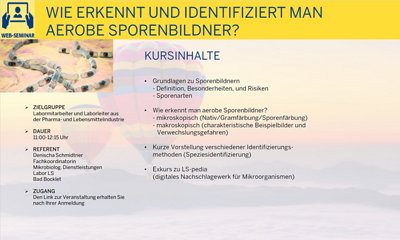 Aerobe Sporenbildner