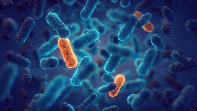 Boehringer Ingelheim, Evotec and bioMérieux launch Aurobac, a joint venture to fight Antimicrobial Resistance
