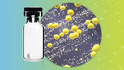 bioball vial and micrococcus luteus