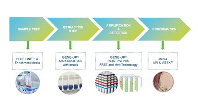 GENE-UP - THE SIMPLEST INNOVATIVE WORKFLOW