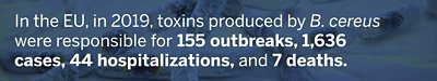 Bacillus cereus Statistic