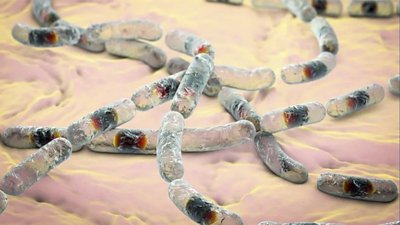 Pathogen Detection