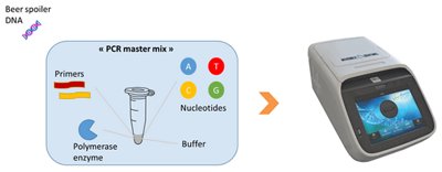 beer spoiler DNA