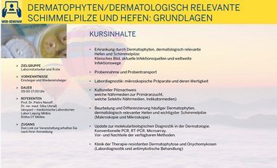 Dermatophyten Grundlagen C