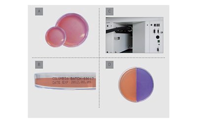 Compact and versatile system for Petri dishes automated filling