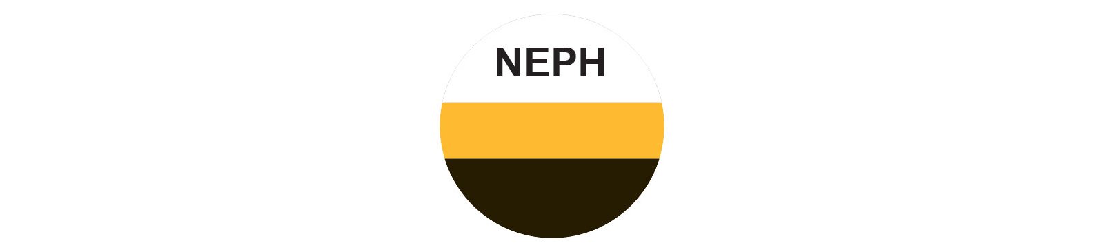 VIDAS NEPHROCHECK
