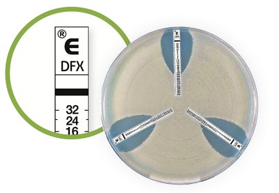 ETEST® DELAFLOXACIN