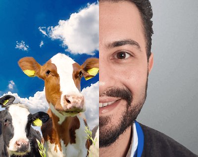 ETEST Man and Cows