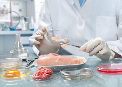 Quality control expert inspecting at food specimen in the laboratory