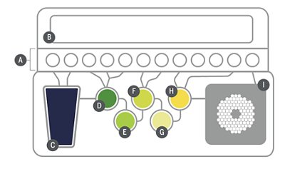 A Rapid, Fully Automated Mycoplasma Detection System | Pioneering ...