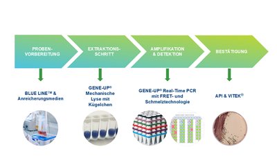 GENE-UP – FÜR EINEN EINFACHEN UND INNOVATIVEN ARBEITSABLAUF