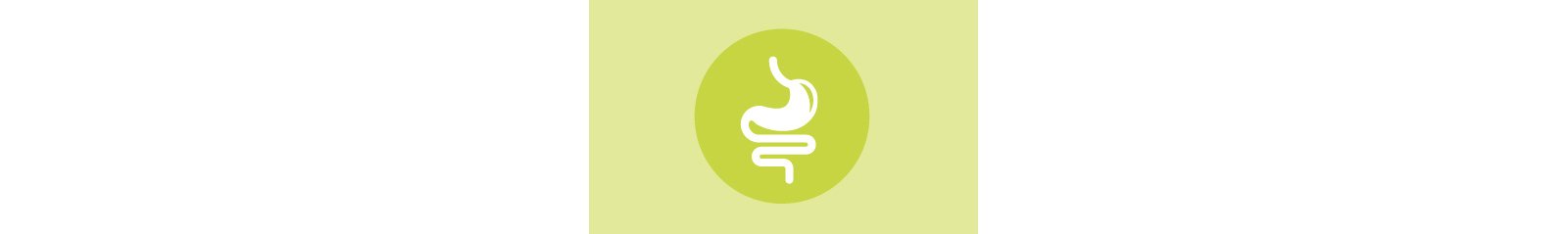 gi panel icon