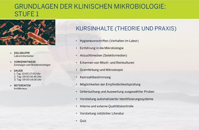 GL Klin. MIBI-Stufe-1