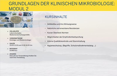 GL der klin. MiBi 2