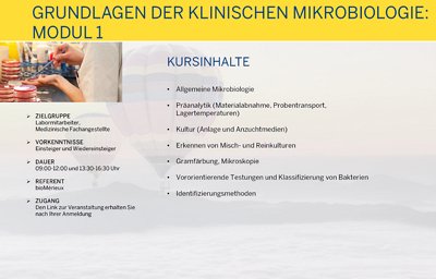 GL der klin. MiBi 1
